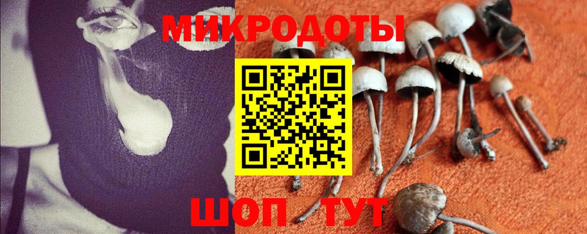 где продают наркотики  Вход с VPN  Воронеж  Галлюциногенные грибы MAGIC MUSHROOMS  Псилоцибиновые грибы мицелий 